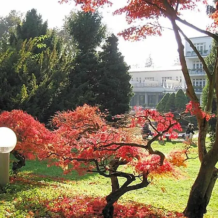 ホテル Villa Green *